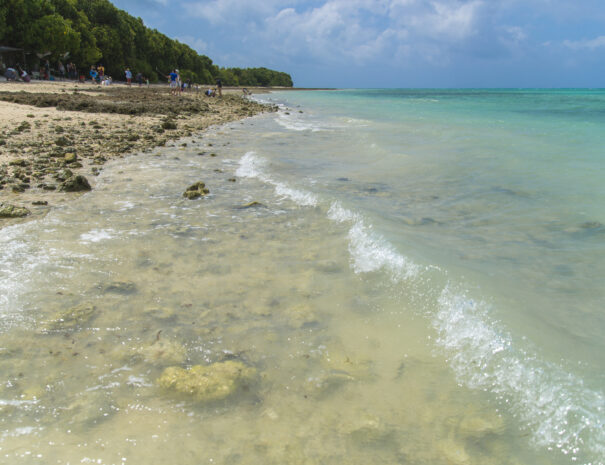 Taketomi Island, Okinawa, Japan - Aug 8,2017: On the northern of Taketomi island is a small beach called 'Hoshizuna no Hama', that means 'Star Sand Beach'. Under the summer sky, visitors are enjoying their time here.