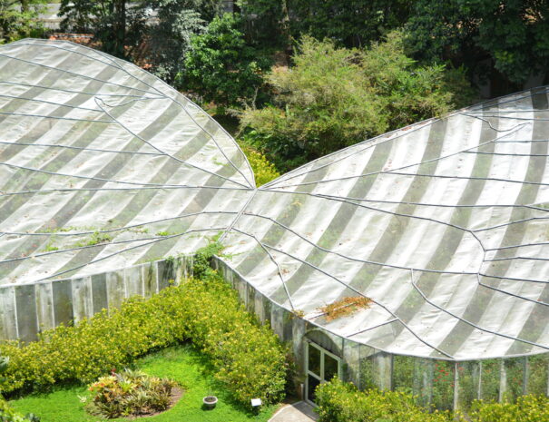Botanico1