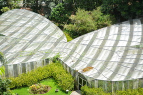 Jardin Botanico Completo
