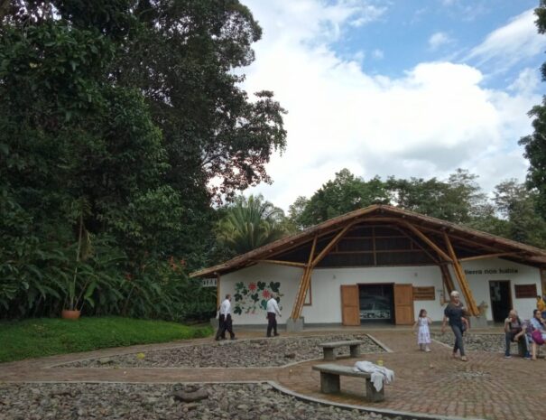 Botanico6