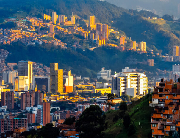Citynoche6