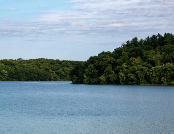 Rivermagdalena4
