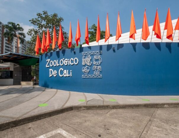 Zoo5