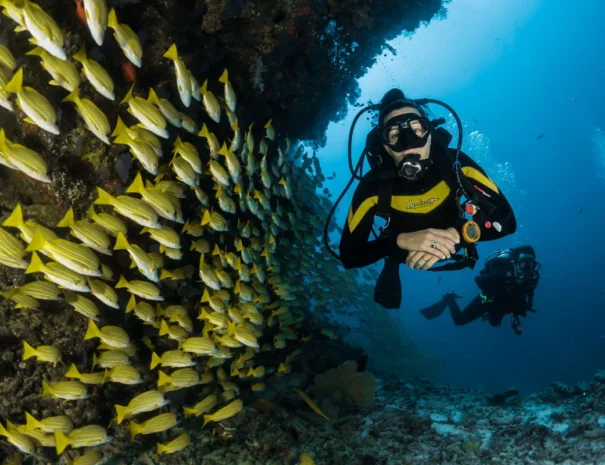 buceo3