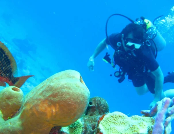 buceo4