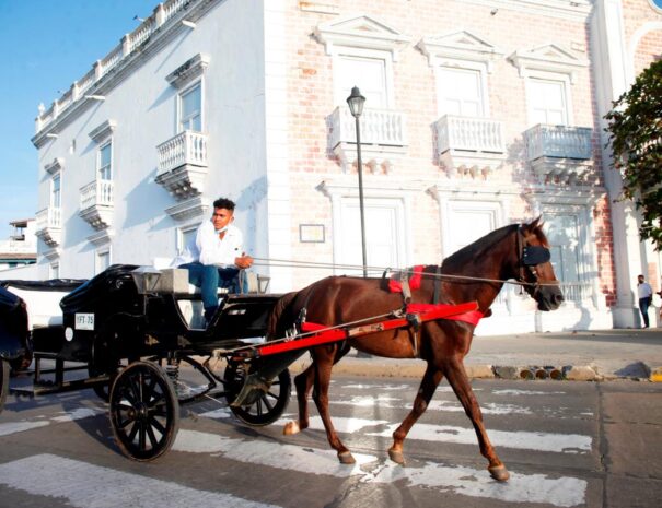caballo2