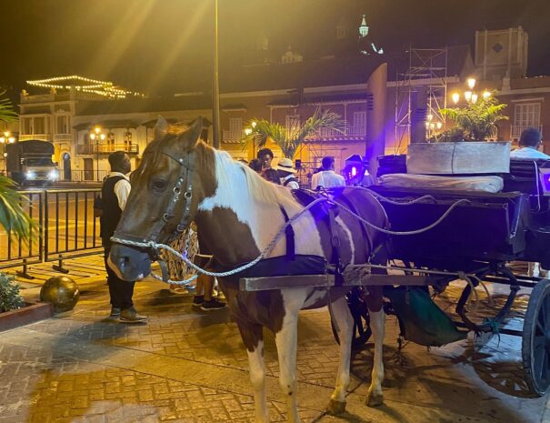 caballo3