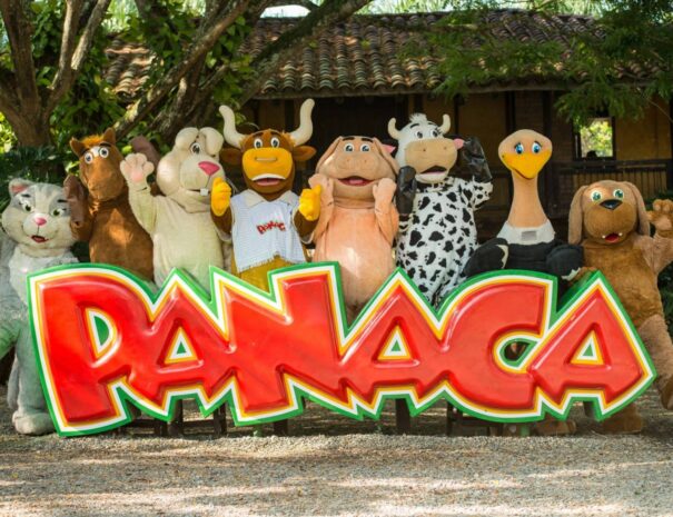panaca1