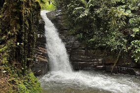 Cascada santa rita Completo