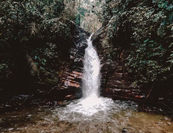 santarita5