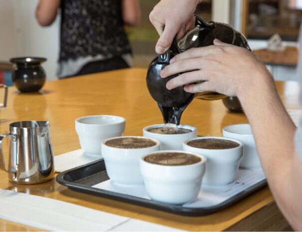 City cata cafe6