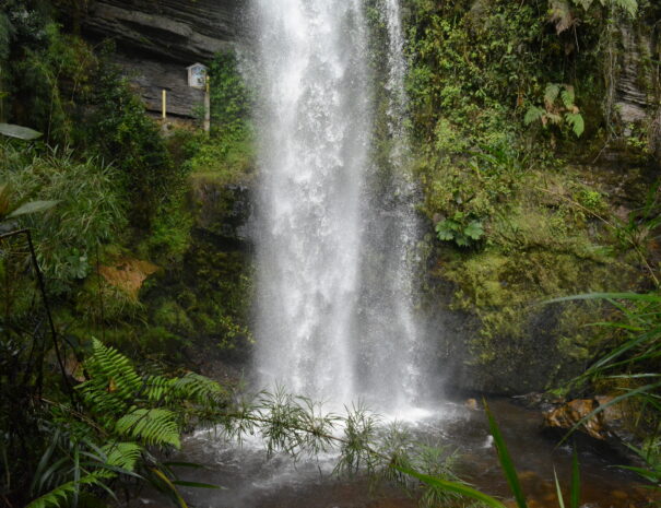 chorrera3