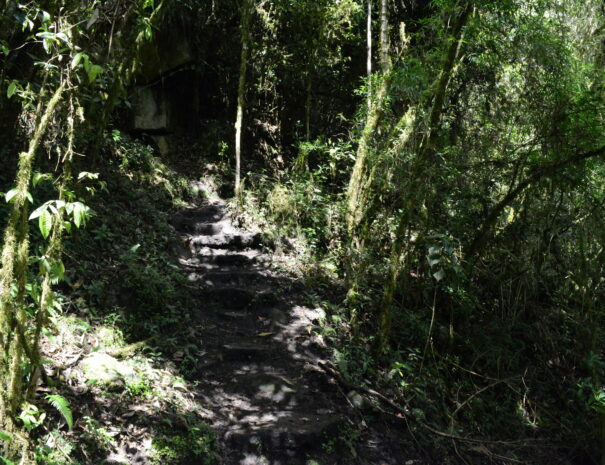 chorrera4