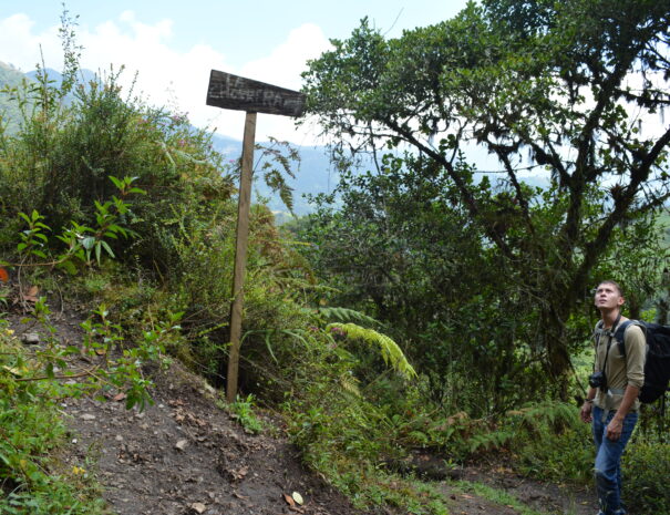 chorrera5
