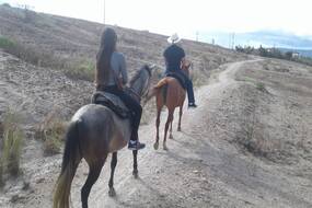 Horseback riding to the Elephant Stone Lookout