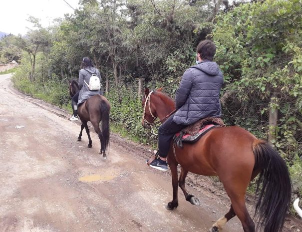 Cabalgata molino la primavera6