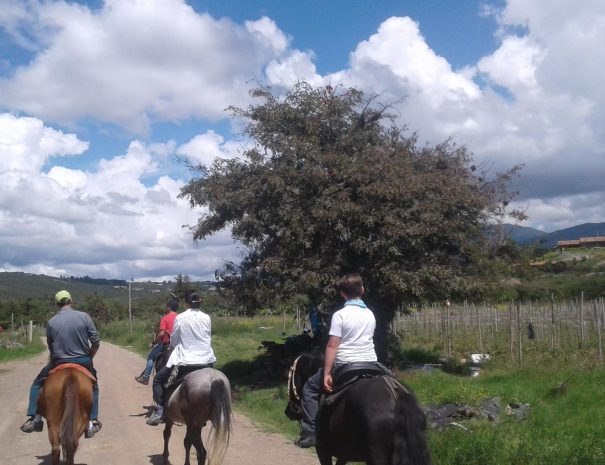 Cabalgata museos5