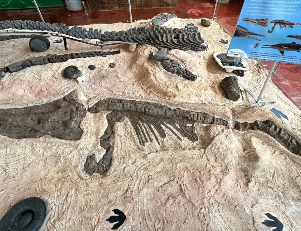 Cabalgata museos6