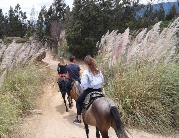 Cabalgata pozo de la vieja5