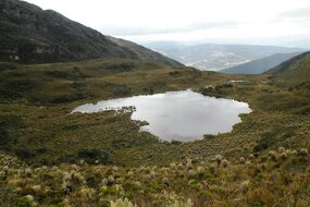 Iguaque Lagoon Hike