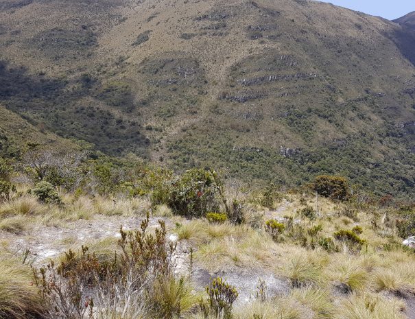 Andes scenery around Lake Iguaque in Colombia