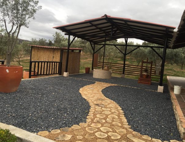 Huerto Olivanto3
