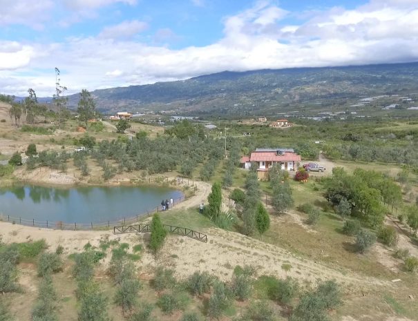 Huerto Olivanto4