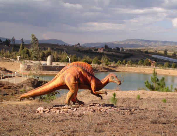 Parque gondova6