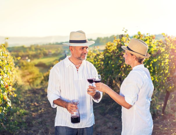 Wine tasting